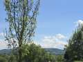 © Club Tirol - whatsapp_image_2026-05-11_at_00.10.04 1. Club Tirol-Golfturnier